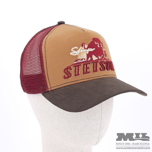 Stetson Trucker Cap...