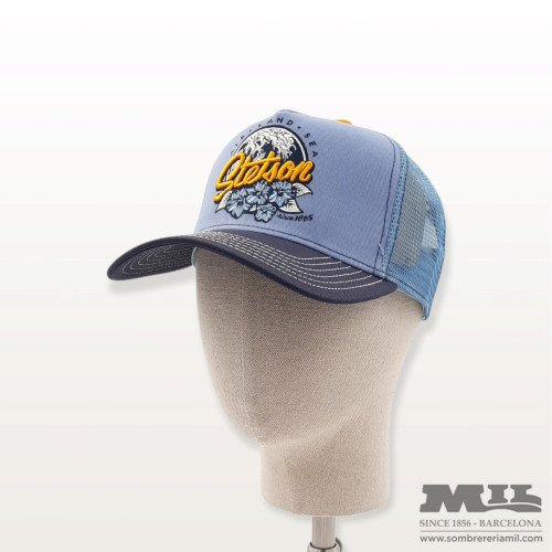 Gorra Trucker Air Land Sea...