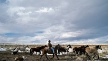 Curiosidades sobre la marca Stetson